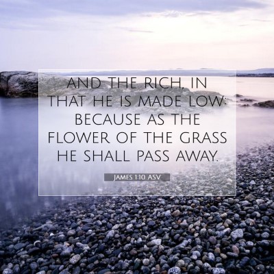 Picture 07 - James 1:10 ASV - and the rich, in that he is made low: because as - Bible Verse Picture