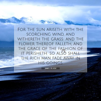 Picture 07 - James 1:11 ASV - For the sun ariseth with the scorching wind, and - Bible Verse Picture