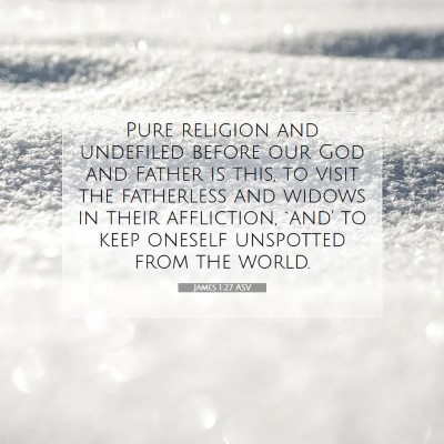 Picture 07 - James 1:27 ASV - Pure religion and undefiled before our God and - Bible Verse Picture