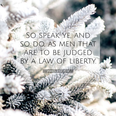 Picture 07 - James 2:12 ASV - So speak ye, and so do, as men that are to be - Bible Verse Picture