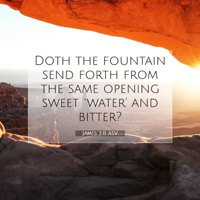 Picture 07 - James 3:11 ASV - Doth the fountain send forth from the same - Bible Verse Picture