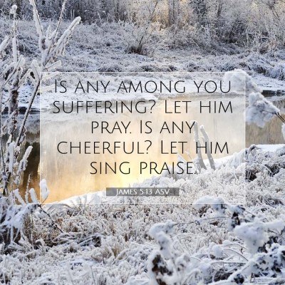 Picture 07 - James 5:13 ASV - Is any among you suffering? Let him pray. Is any - Bible Verse Picture