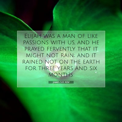 Picture 07 - James 5:17 ASV - Elijah was a man of like passions with us, and he - Bible Verse Picture