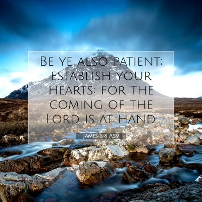 Picture 07 - James 5:8 ASV - Be ye also patient; establish your hearts: for - Bible Verse Picture