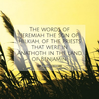 Picture 07 - Jeremiah 1:1 ASV - The words of Jeremiah the son of Hilkiah, of the - Bible Verse Picture