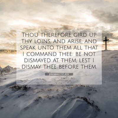 Picture 07 - Jeremiah 1:17 ASV - Thou therefore gird up thy loins, and arise, and - Bible Verse Picture