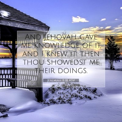 Picture 07 - Jeremiah 11:18 ASV - And Jehovah gave me knowledge of it, and I knew - Bible Verse Picture