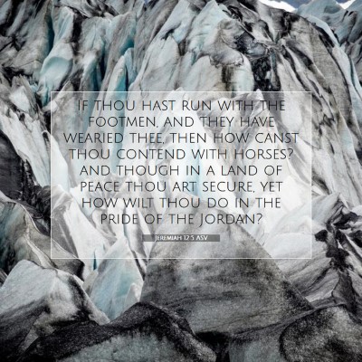 Picture 07 - Jeremiah 12:5 ASV - If thou hast run with the footmen, and they have - Bible Verse Picture