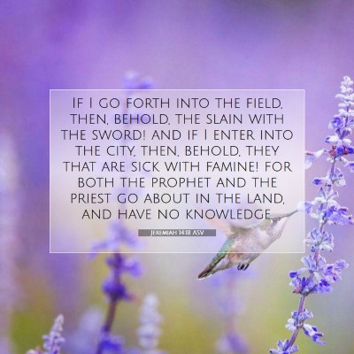 Picture 07 - Jeremiah 14:18 ASV - If I go forth into the field, then, behold, the - Bible Verse Picture