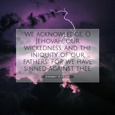 Picture 07 - Jeremiah 14:20 ASV - We acknowledge, O Jehovah, our wickedness, and - Bible Verse Picture