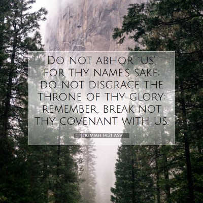 Picture 07 - Jeremiah 14:21 ASV - Do not abhor `us', for thy name's sake; do not - Bible Verse Picture