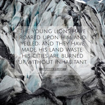 Picture 07 - Jeremiah 2:15 ASV - The young lions have roared upon him, and yelled; - Bible Verse Picture