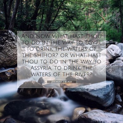 Picture 07 - Jeremiah 2:18 ASV - And now what hast thou to do in the way to Egypt, - Bible Verse Picture