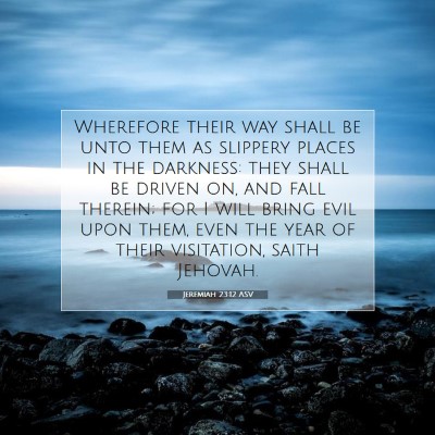 Picture 07 - Jeremiah 23:12 ASV - Wherefore their way shall be unto them as - Bible Verse Picture