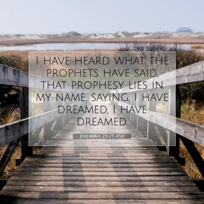 Picture 07 - Jeremiah 23:25 ASV - I have heard what the prophets have said, that - Bible Verse Picture
