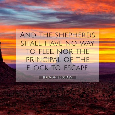 Picture 07 - Jeremiah 25:35 ASV - And the shepherds shall have no way to flee, nor - Bible Verse Picture