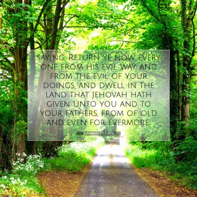 Picture 07 - Jeremiah 25:5 ASV - saying, Return ye now every one from his evil - Bible Verse Picture
