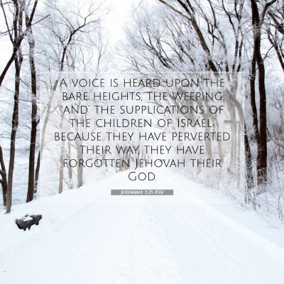 Picture 07 - Jeremiah 3:21 ASV - A voice is heard upon the bare heights, the - Bible Verse Picture