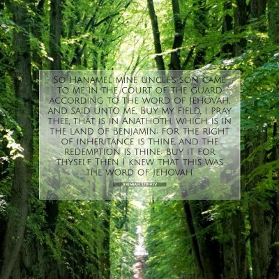 Picture 07 - Jeremiah 32:8 ASV - So Hanamel mine uncle's son came to me in the - Bible Verse Picture