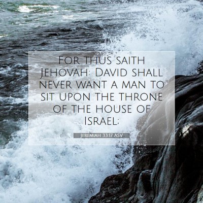 Picture 07 - Jeremiah 33:17 ASV - For thus saith Jehovah: David shall never want a - Bible Verse Picture