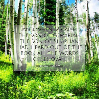 Picture 07 - Jeremiah 36:11 ASV - And when Micaiah the son of Gemariah, the son of - Bible Verse Picture