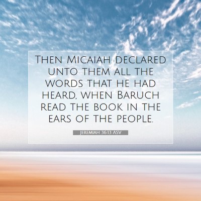 Picture 07 - Jeremiah 36:13 ASV - Then Micaiah declared unto them all the words - Bible Verse Picture