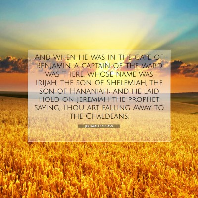 Picture 07 - Jeremiah 37:13 ASV - And when he was in the gate of Benjamin, a - Bible Verse Picture