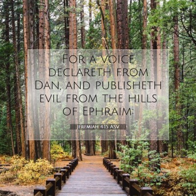 Picture 07 - Jeremiah 4:15 ASV - For a voice declareth from Dan, and publisheth - Bible Verse Picture