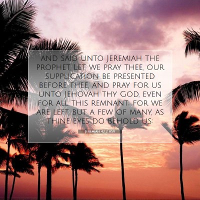 Picture 07 - Jeremiah 42:2 ASV - and said unto Jeremiah the prophet, Let, we pray - Bible Verse Picture