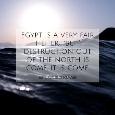 Picture 07 - Jeremiah 46:20 ASV - Egypt is a very fair heifer; `but' destruction - Bible Verse Picture