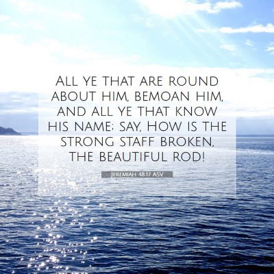 Picture 07 - Jeremiah 48:17 ASV - All ye that are round about him, bemoan him, and - Bible Verse Picture