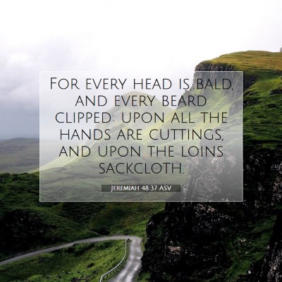 Picture 07 - Jeremiah 48:37 ASV - For every head is bald, and every beard clipped: - Bible Verse Picture