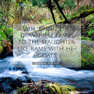 Picture 07 - Jeremiah 51:40 ASV - I will bring them down like lambs to the - Bible Verse Picture
