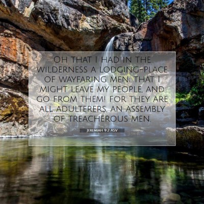 Picture 07 - Jeremiah 9:2 ASV - Oh that I had in the wilderness a lodging-place - Bible Verse Picture