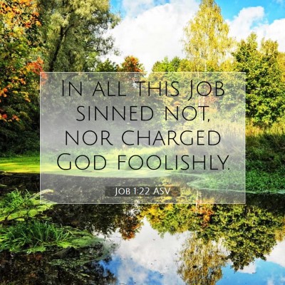 Picture 07 - Job 1:22 ASV - In all this Job sinned not, nor charged God - Bible Verse Picture