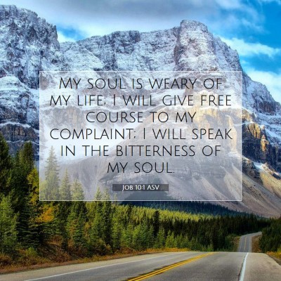Picture 07 - Job 10:1 ASV - My soul is weary of my life; I will give free - Bible Verse Picture
