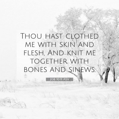 Picture 07 - Job 10:11 ASV - Thou hast clothed me with skin and flesh, And - Bible Verse Picture