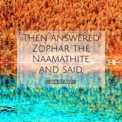 Picture 07 - Job 11:1 ASV - Then answered Zophar the Naamathite, and - Bible Verse Picture