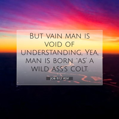 Picture 07 - Job 11:12 ASV - But vain man is void of understanding, Yea, man - Bible Verse Picture