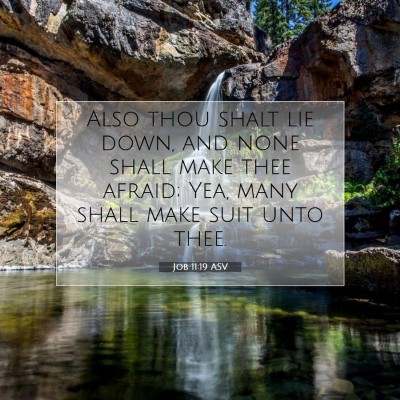 Picture 07 - Job 11:19 ASV - Also thou shalt lie down, and none shall make - Bible Verse Picture