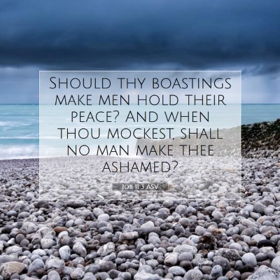 Picture 07 - Job 11:3 ASV - Should thy boastings make men hold their peace? - Bible Verse Picture