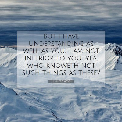 Picture 07 - Job 12:3 ASV - But I have understanding as well as you; I am not - Bible Verse Picture