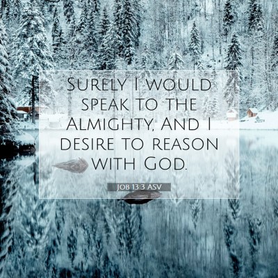 Picture 07 - Job 13:3 ASV - Surely I would speak to the Almighty, And I - Bible Verse Picture