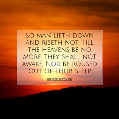 Picture 07 - Job 14:12 ASV - So man lieth down and riseth not: Till the - Bible Verse Picture
