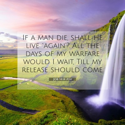 Picture 07 - Job 14:14 ASV - If a man die, shall he live `again'? All the days - Bible Verse Picture