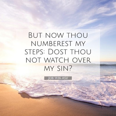 Picture 07 - Job 14:16 ASV - But now thou numberest my steps: Dost thou not - Bible Verse Picture