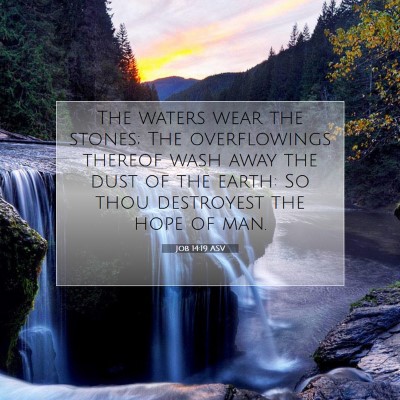 Picture 07 - Job 14:19 ASV - The waters wear the stones; The overflowings - Bible Verse Picture