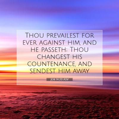 Picture 07 - Job 14:20 ASV - Thou prevailest for ever against him, and he - Bible Verse Picture