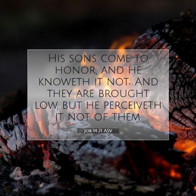 Picture 07 - Job 14:21 ASV - His sons come to honor, and he knoweth it not; - Bible Verse Picture