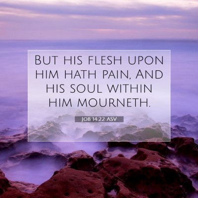 Picture 07 - Job 14:22 ASV - But his flesh upon him hath pain, And his soul - Bible Verse Picture